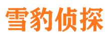 娄烦找人公司